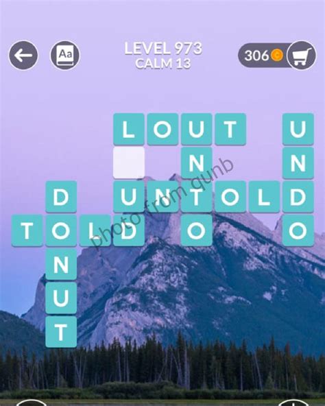wordalot level 973